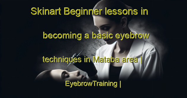 Skinart Beginner lessons in becoming a basic eyebrow techniques in Mataba area | EyebrowTraining | EyebrowClasses | SkinartTraining-the Democratic Republic of the Congo